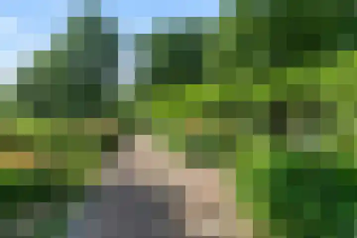 Livingstonelaan 926 Utrecht thumbnail 31
