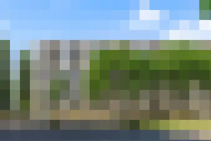 Livingstonelaan 926 Utrecht thumbnail 4