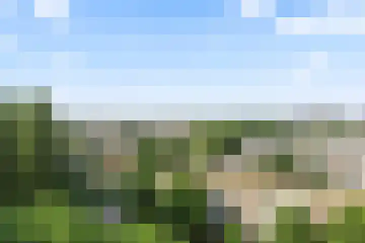 Livingstonelaan 926 Utrecht thumbnail 8