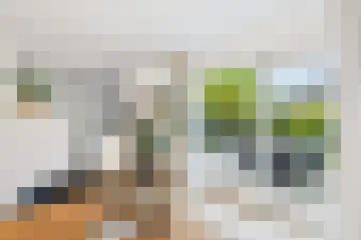 Livingstonestraat 68 Hulst thumbnail 10