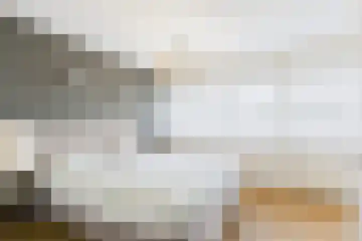 Livingstonestraat 68 Hulst thumbnail 14