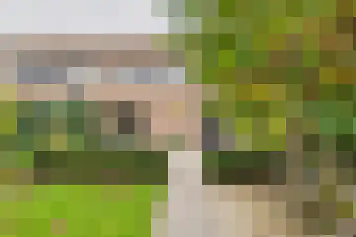 Livingstonestraat 68 Hulst thumbnail 23