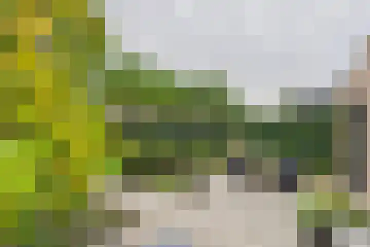 Livingstonestraat 68 Hulst thumbnail 24