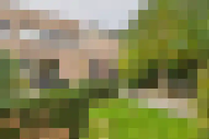 Livingstonestraat 68 Hulst thumbnail 25