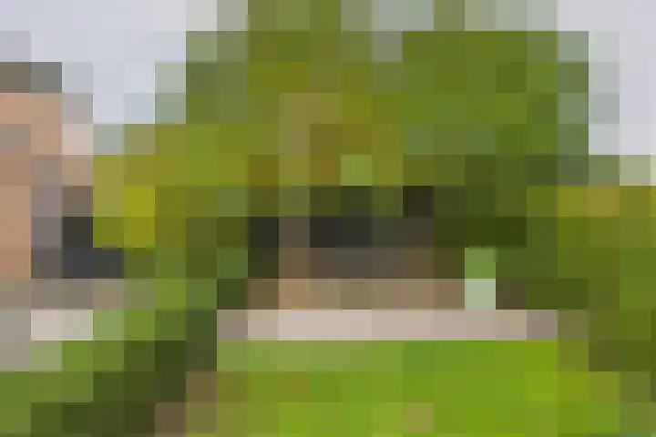 Livingstonestraat 68 Hulst thumbnail 26