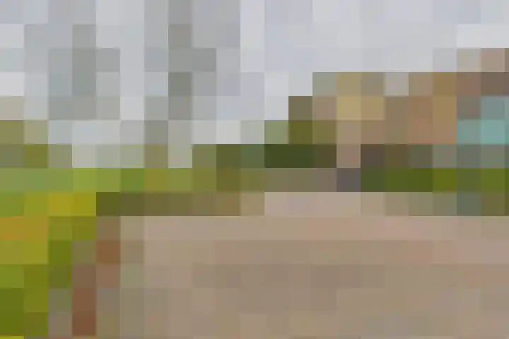 Livingstonestraat 68 Hulst thumbnail 27