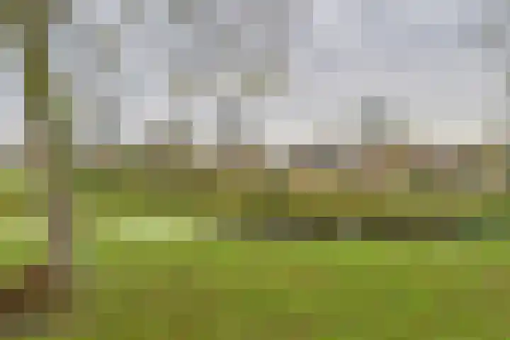 Livingstonestraat 68 Hulst thumbnail 28