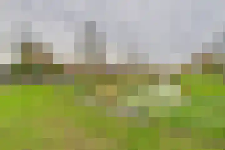 Livingstonestraat 68 Hulst thumbnail 29