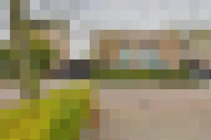 Livingstonestraat 68 Hulst thumbnail 5