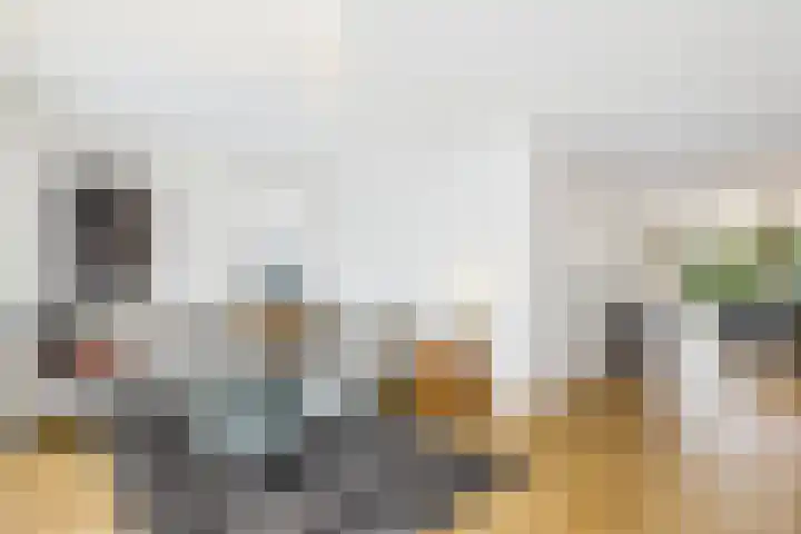 Livingstonestraat 68 Hulst thumbnail 6