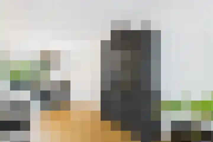 Livingstonestraat 68 Hulst thumbnail 8
