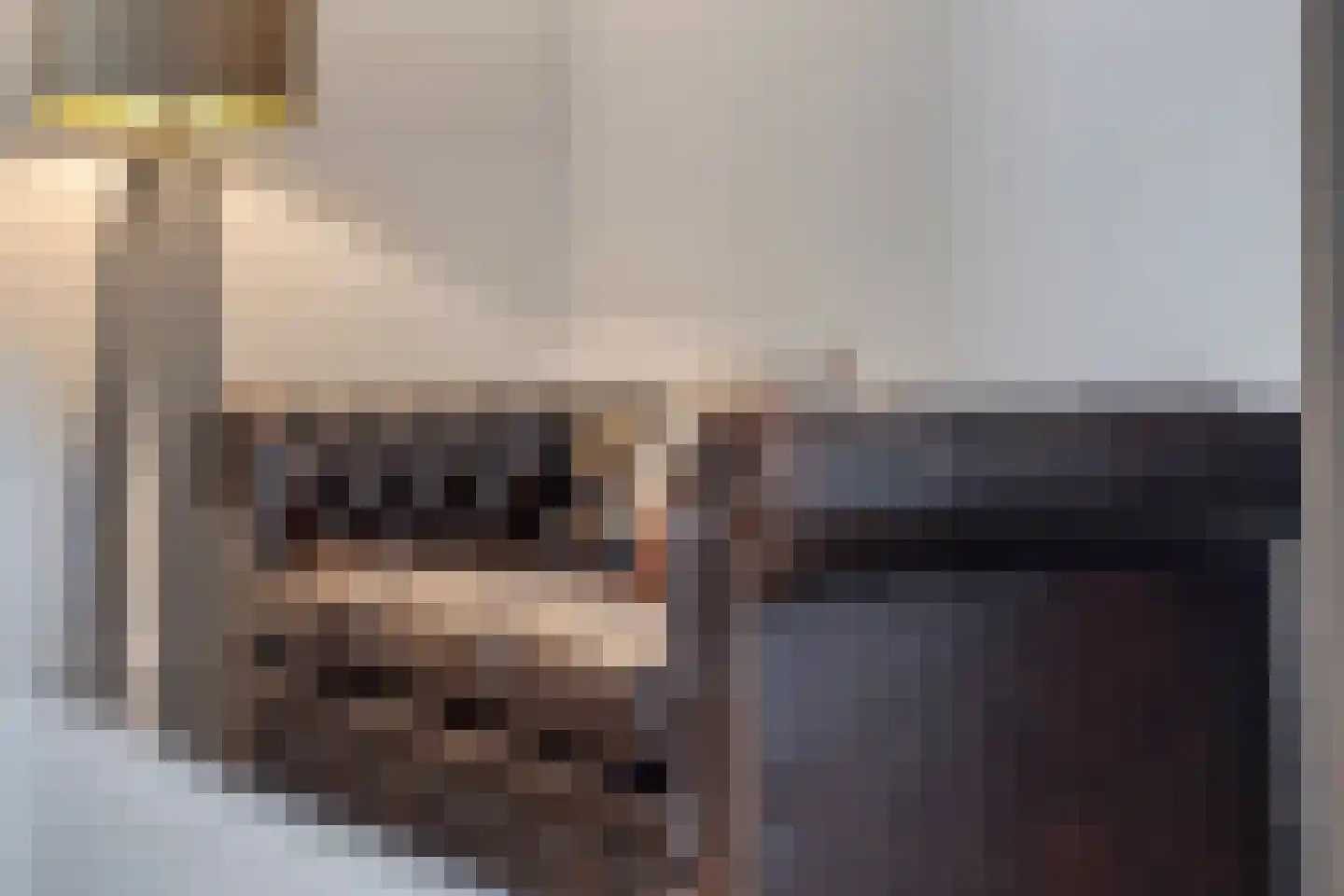 Livingstonestraat 74 Hulst thumbnail 10