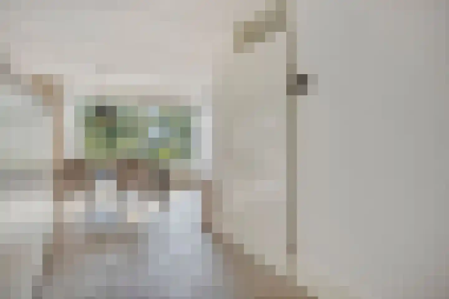 Livingstonestraat 74 Hulst thumbnail 12