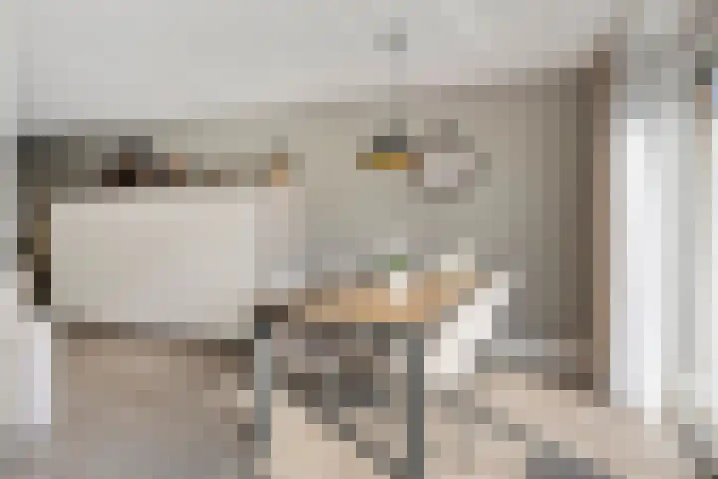 Livingstonestraat 74 Hulst thumbnail 14