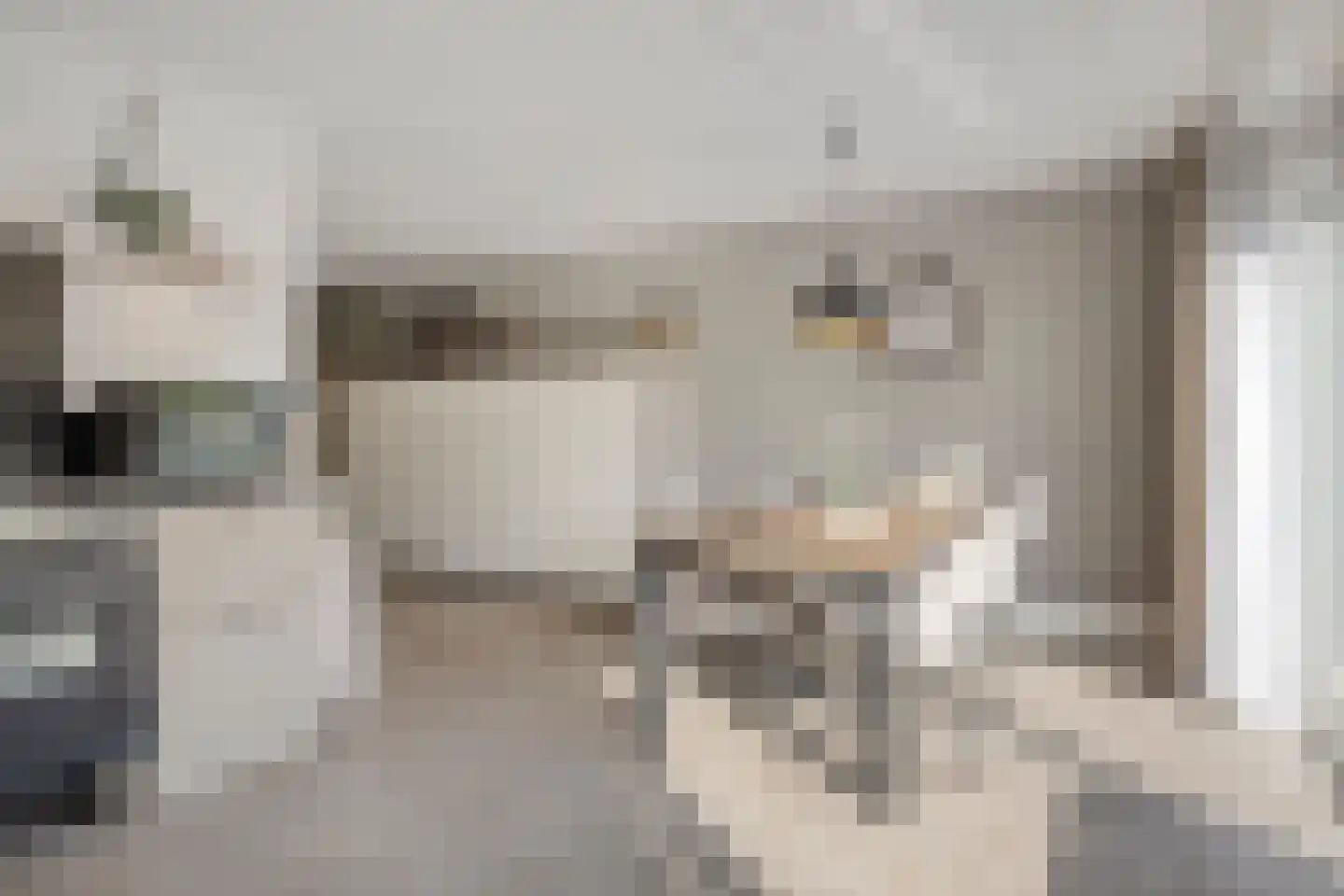 Livingstonestraat 74 Hulst thumbnail 17