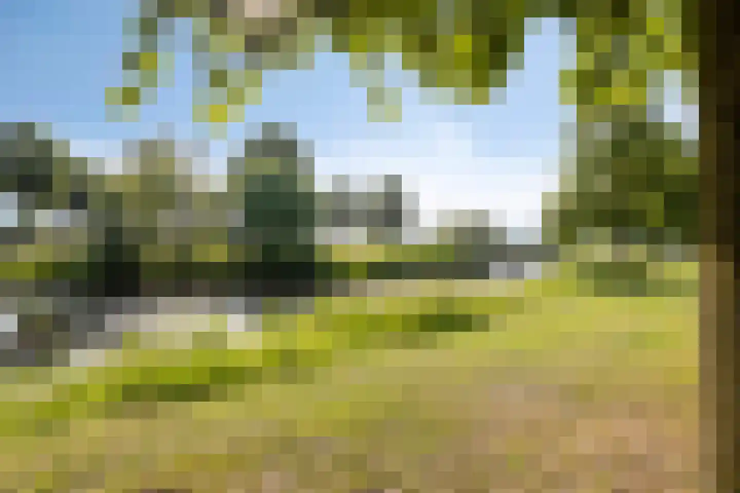 Livingstonestraat 74 Hulst thumbnail 36