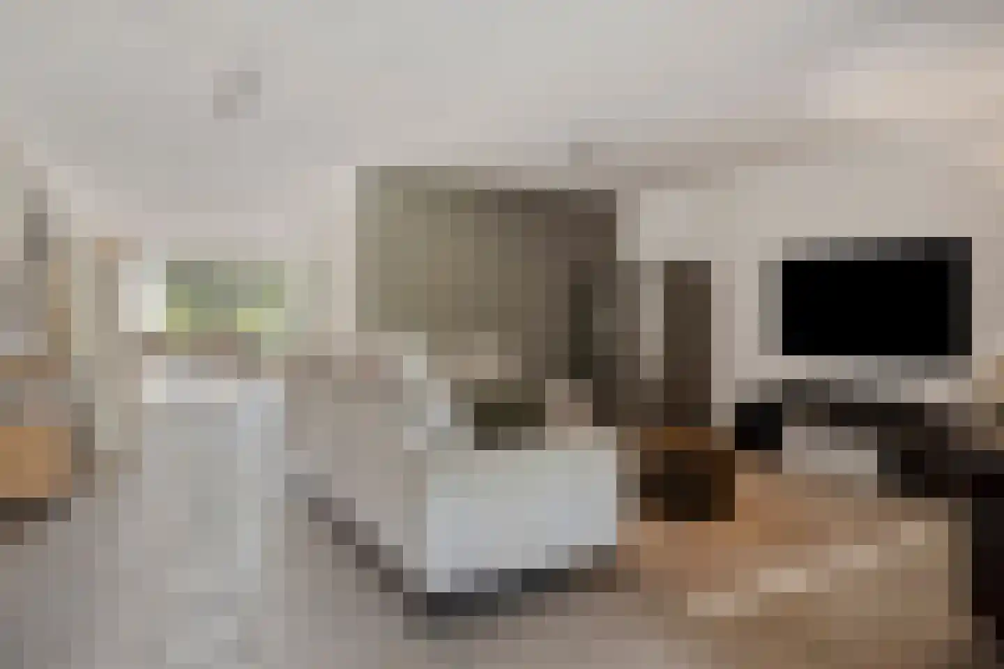 Livingstonestraat 74 Hulst thumbnail 9
