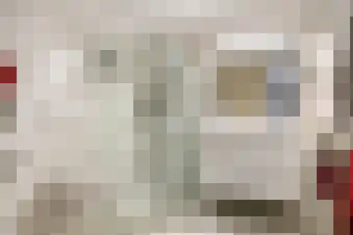 Liviuslaan 10 Eindhoven thumbnail 18