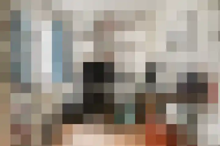 Liviuslaan 10 Eindhoven thumbnail 22
