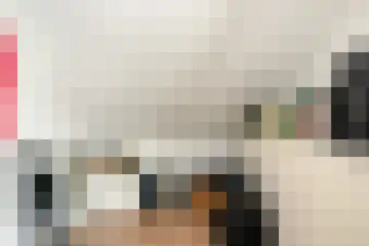 Liviuslaan 10 Eindhoven thumbnail 23