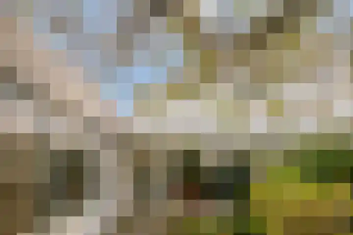 Liviuslaan 10 Eindhoven thumbnail 28