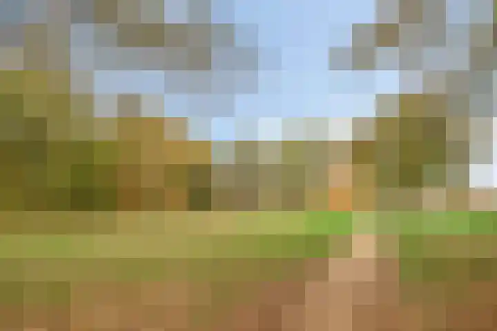 Liviuslaan 10 Eindhoven thumbnail 29