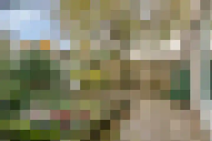 Liviuslaan 10 Eindhoven thumbnail 4
