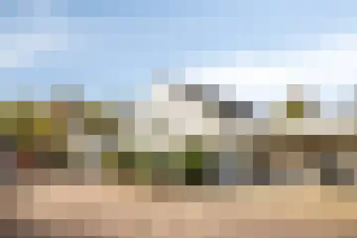 Liviuslaan 10 Eindhoven thumbnail 5