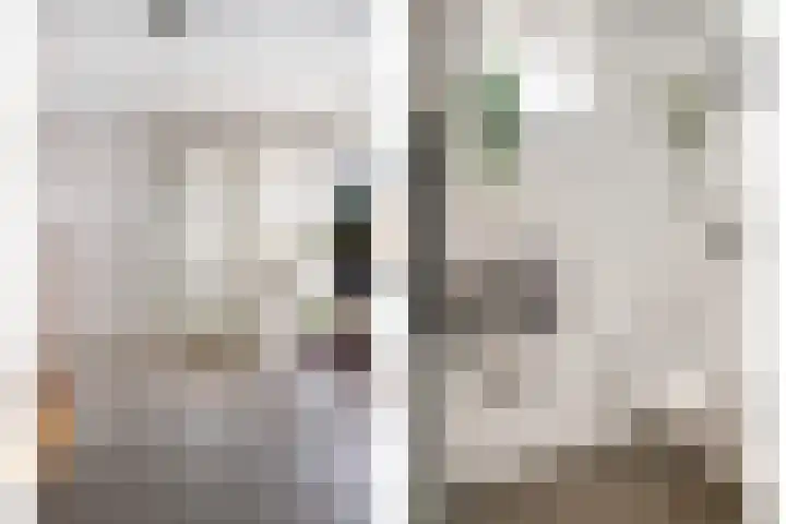 Liviuslaan 10 Eindhoven thumbnail 6
