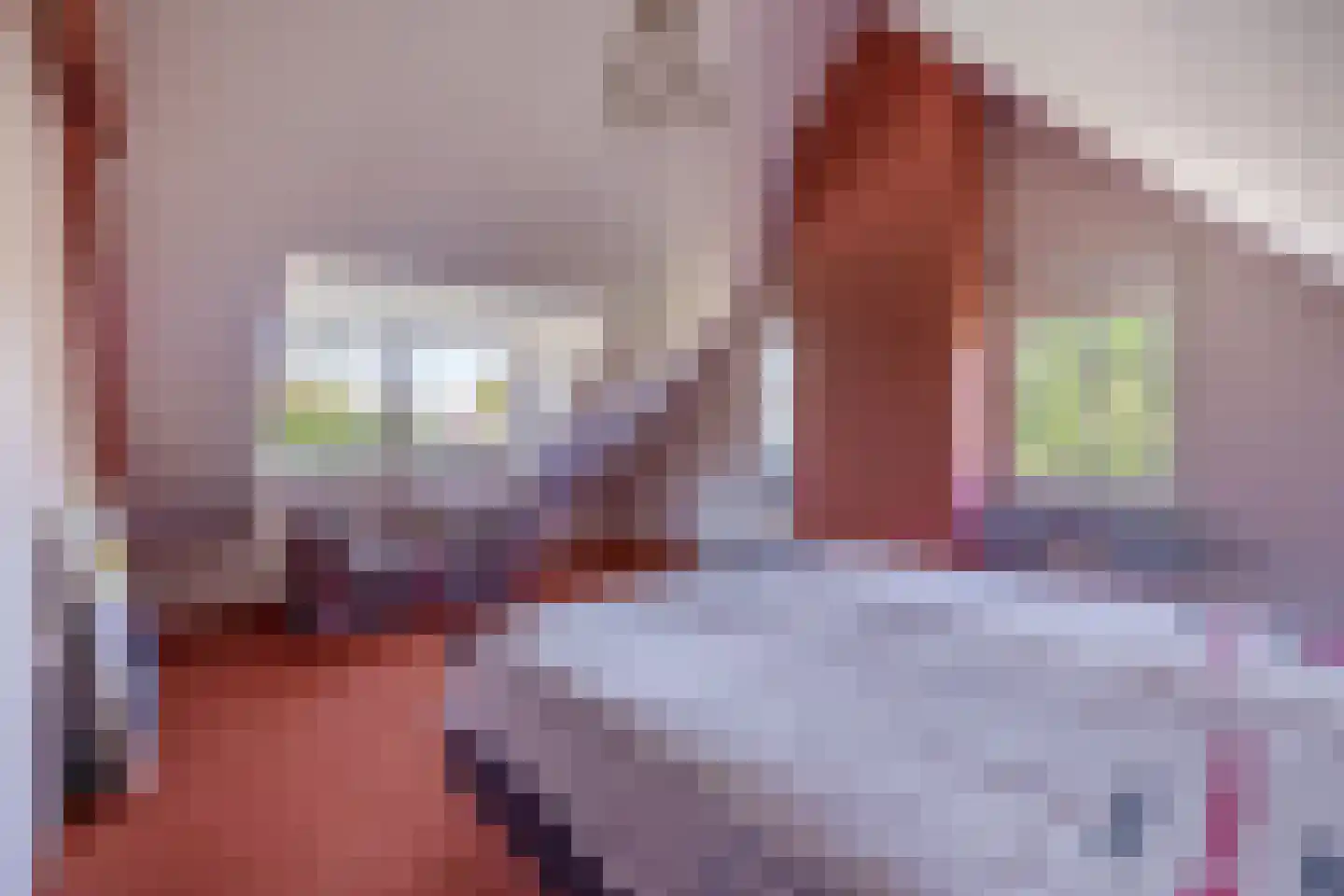 Liviuslaan 12 Venlo thumbnail 23