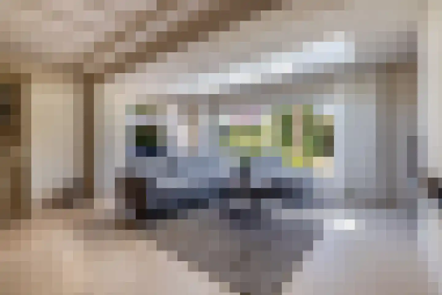 Liviuslaan 12 Venlo thumbnail 5
