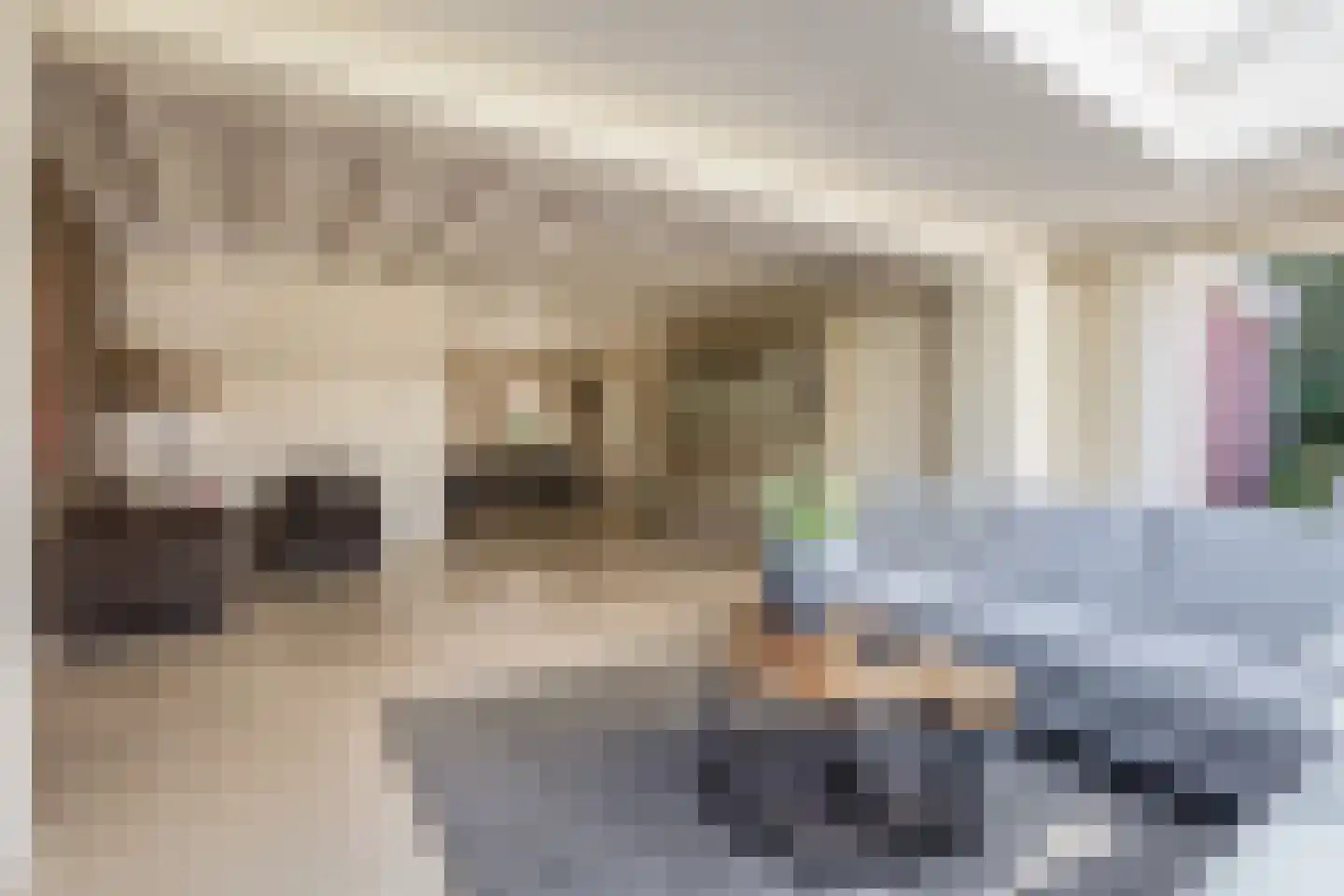 Liviuslaan 12 Venlo thumbnail 6