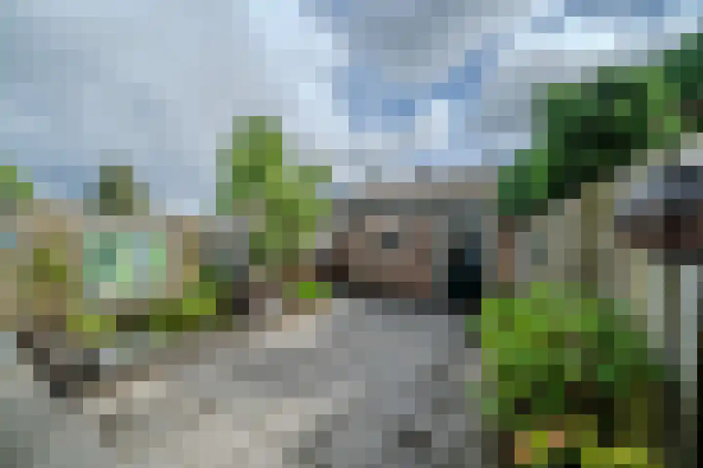 Liviuslaan 44 Eindhoven thumbnail 16