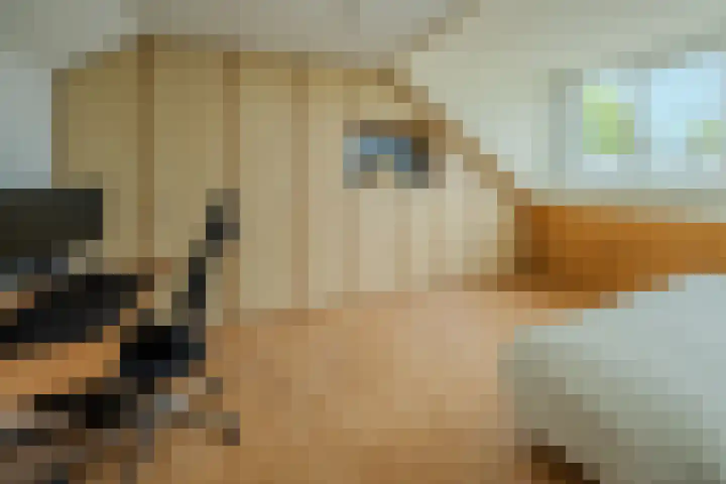 Liviuslaan 44 Eindhoven thumbnail 33