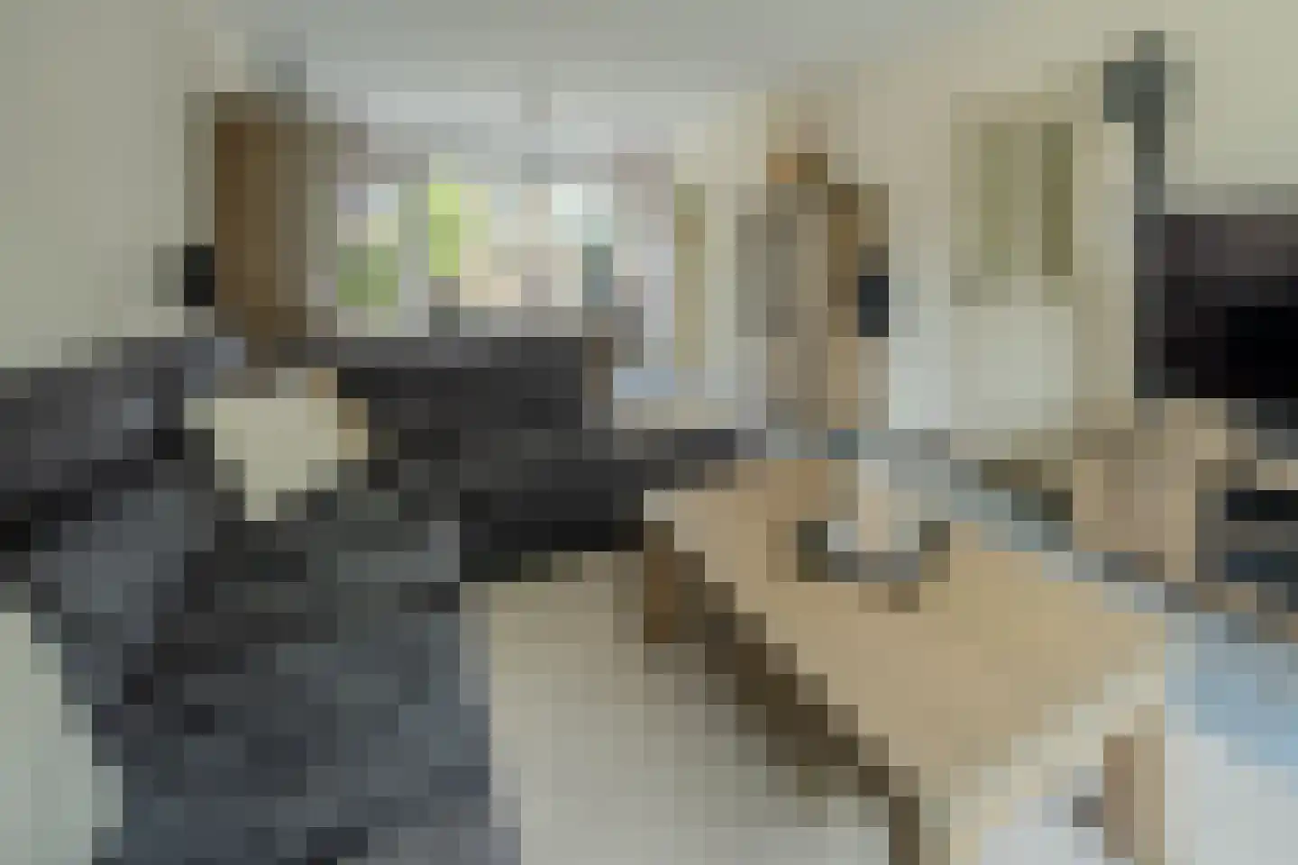 Liviuslaan 44 Eindhoven thumbnail 5