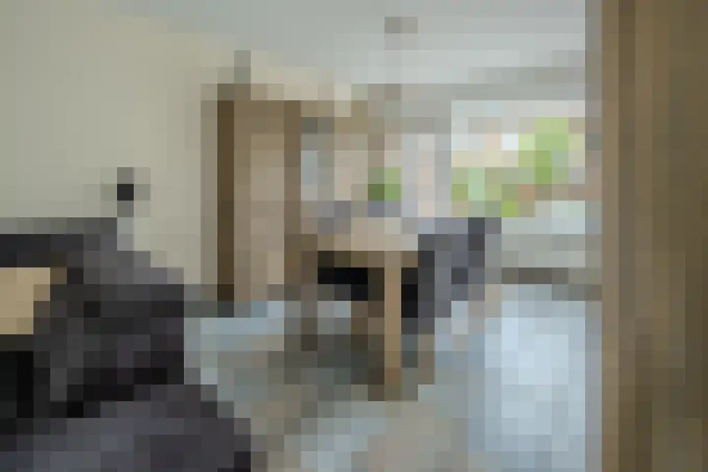 Liviuslaan 44 Eindhoven thumbnail 6
