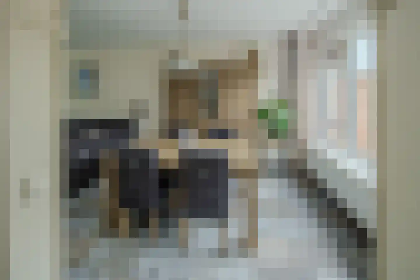 Liviuslaan 44 Eindhoven thumbnail 7