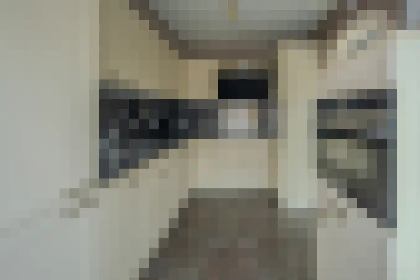 Liviuslaan 44 Eindhoven thumbnail 9
