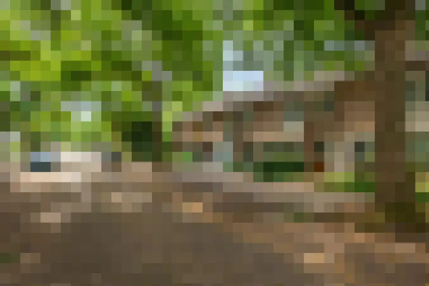 Liviuslaan 53 Eindhoven thumbnail 58