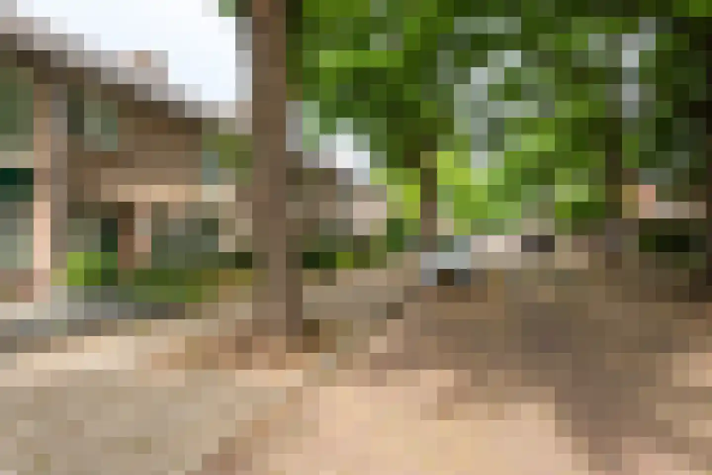 Liviuslaan 53 Eindhoven thumbnail 60