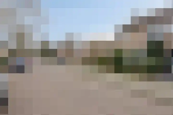 Liviuslaan 77 Eindhoven thumbnail 12