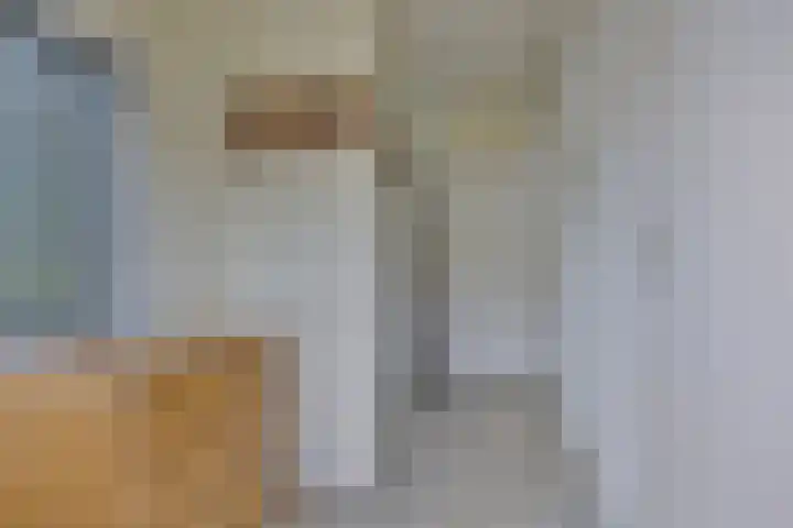 Liviuslaan 77 Eindhoven thumbnail 13