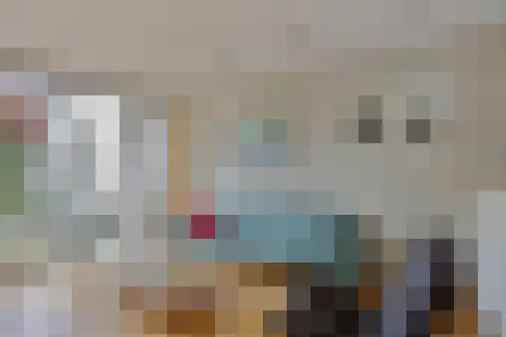 Liviuslaan 77 Eindhoven thumbnail 16