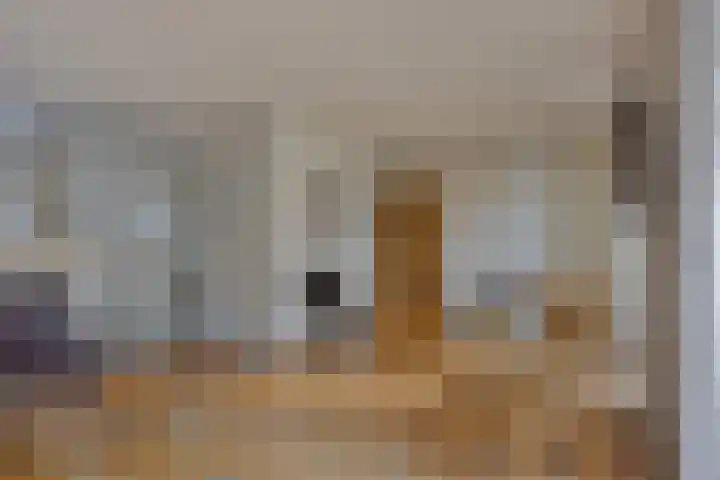 Liviuslaan 77 Eindhoven thumbnail 17