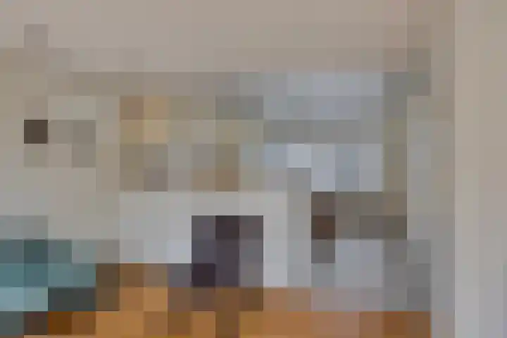 Liviuslaan 77 Eindhoven thumbnail 18