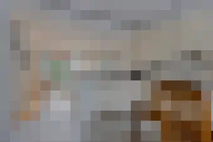 Liviuslaan 77 Eindhoven thumbnail 19