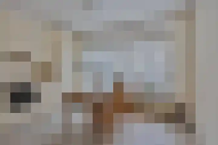Liviuslaan 77 Eindhoven thumbnail 20
