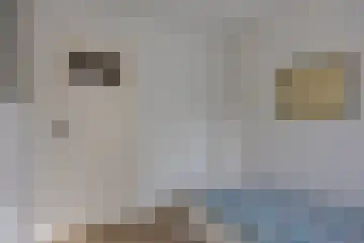 Liviuslaan 77 Eindhoven thumbnail 33