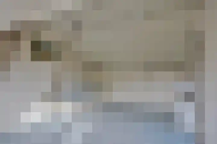 Liviuslaan 77 Eindhoven thumbnail 36