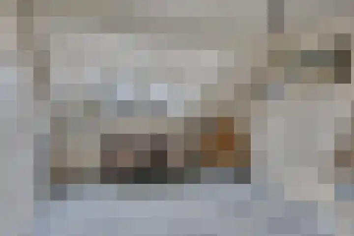 Liviuslaan 77 Eindhoven thumbnail 37